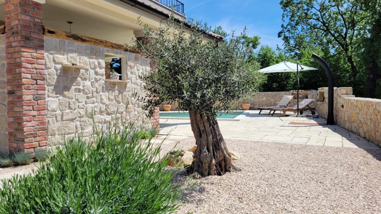 Villa Alara - Charming Villa With Heated Swimming Pool Milohnici Exterior photo